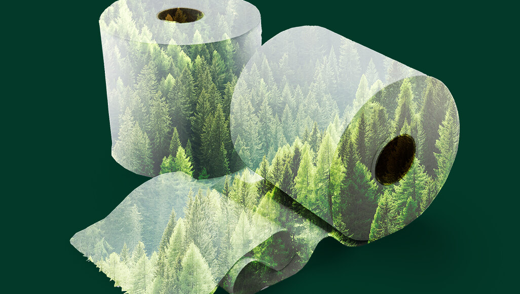 Le développement durable comme norme Comment les entreprises peuvent atteindre les objectifs de développement durable sans compromettre la qualité